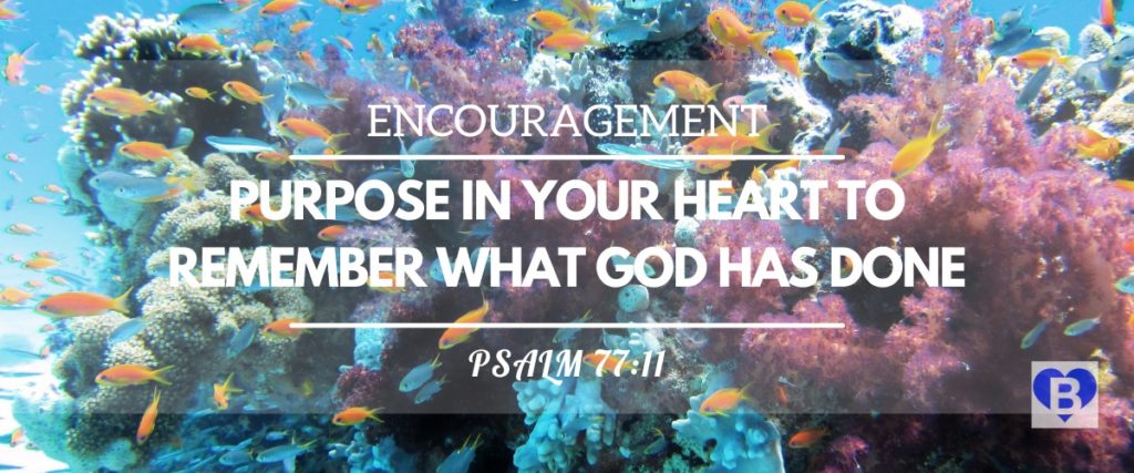 Encouragement Purpose In Your Heart To Remember What God Has Done Psalm 77:11