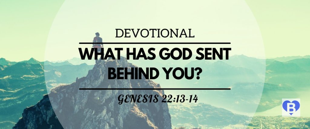 Devotional What Has God Sent Behind You? Genesis 22:13-14