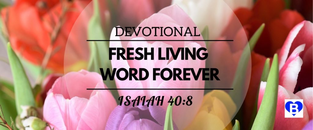 Devotional Fresh Living Word Forever Isaiah 40:8