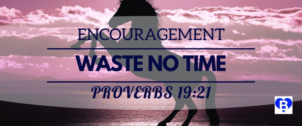 Encouragement Waste No Time Proverbs 19:21