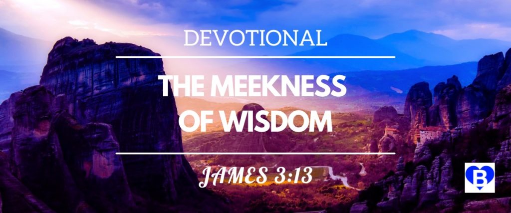 Devotional The Meekness Of Wisdom James 3:13