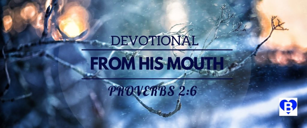 Devotional From His Mouth Proverbs 2:6