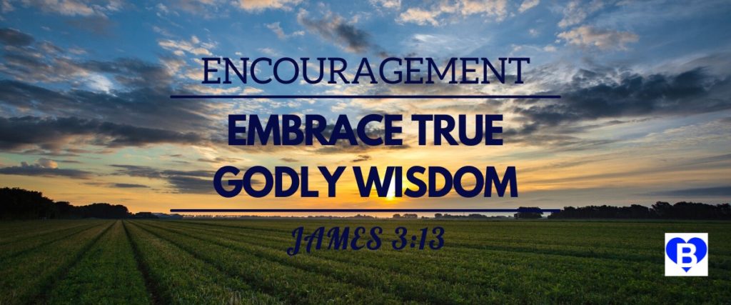 Encouragement Embrace True Godly Wisdom James 3:13
