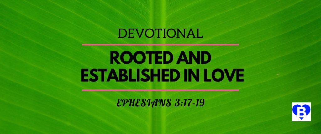 Devotional Rooted and Established in Love Ephesians 3:17-19