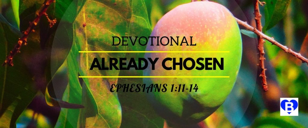 Devotional Already Chosen Ephesians 1:11-14
