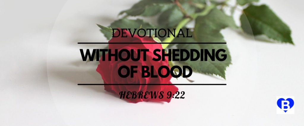 Devotional Without Shedding Of Blood Hebrews 9:22