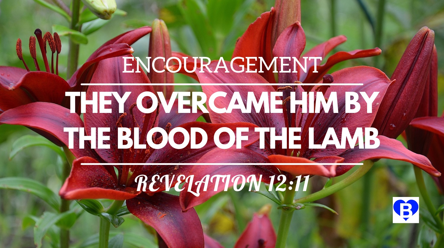 Blood of the Lamb Revelation 12:11