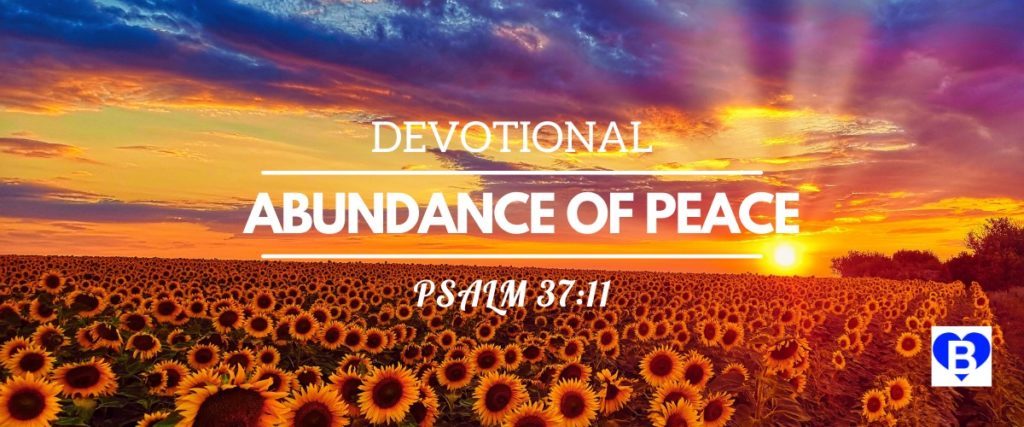 Devotional Abundance of Peace Psalm 37:11