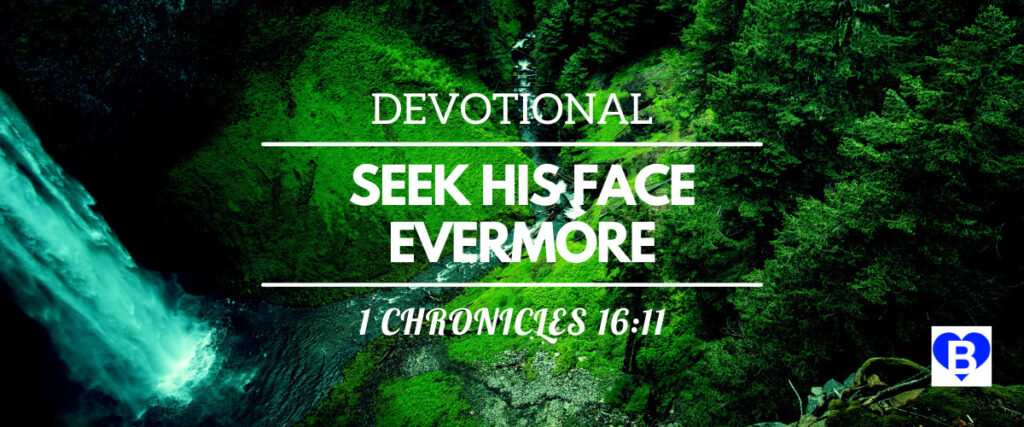 Devotional Seek His Face Evermore 1 Chronicles 16:11