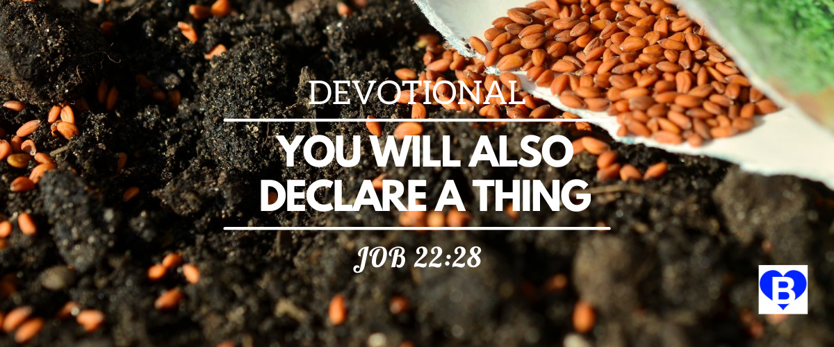 You Will Also Declare a Thing (Job 22:28) - DEVOTIONAL