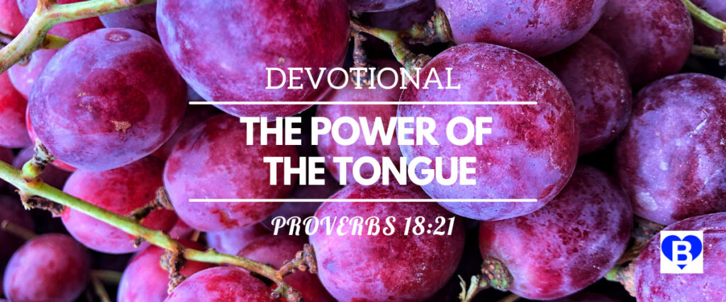 Devotional The Power of the Tongue Proverbs 18:21