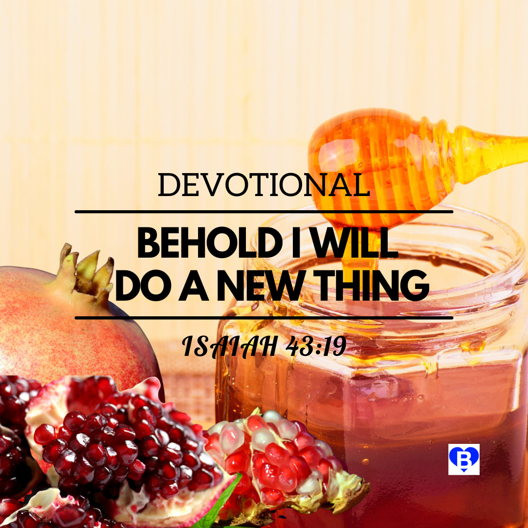 Behold I Will Do A New Thing Isaiah 43 19 Devotional