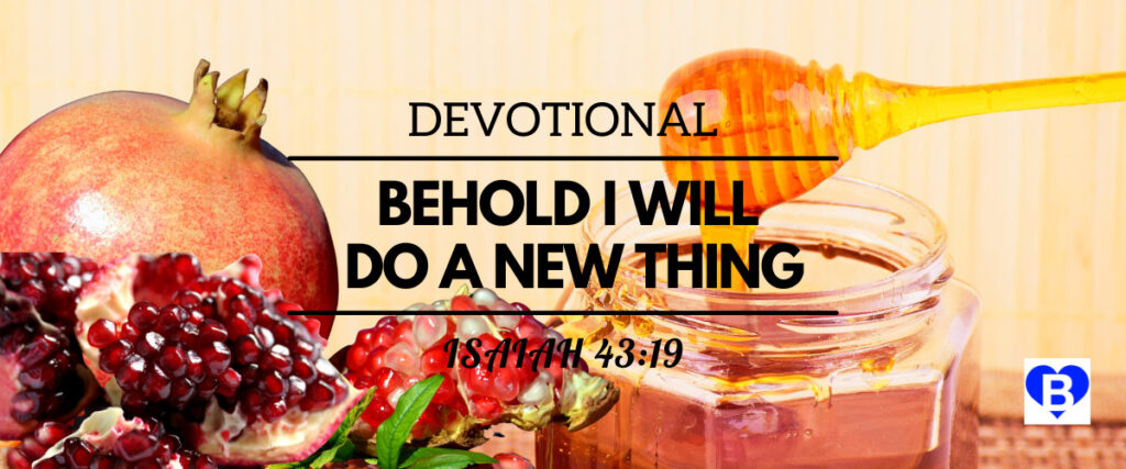 Devotional Behold I Will Do A New Thing Isaiah 43:19